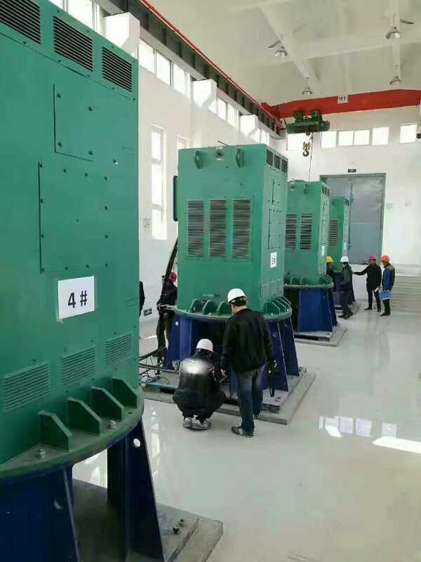 YKS5005-4某污水处理厂使用我厂的立式高压电机安装现场
