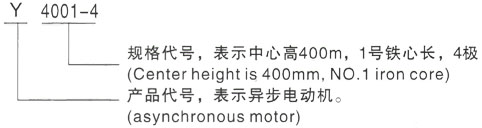 西安泰富西玛Y系列(H355-1000)高压YKS5005-4三相异步电机型号说明