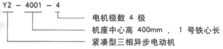 YR系列(H355-1000)高压YKS5005-4三相异步电机西安西玛电机型号说明